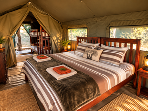 Umbrella Thorn – Family Safari Tent | Sleeps 2 Adults + 3 Children
