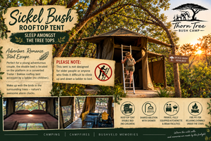 Sickle Bush Rooftop Tent | Sleeps 2