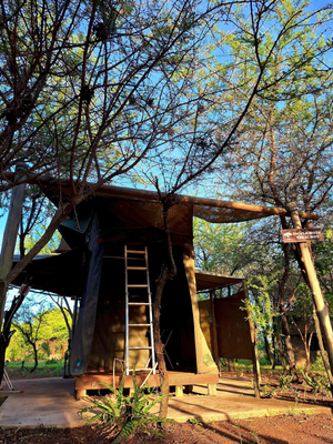 Sickle Bush Rooftop Tent | Sleeps 2