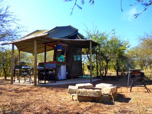 Sickle Bush