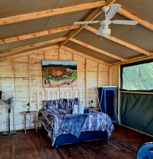 Weeping Boerbean Tented Cabin