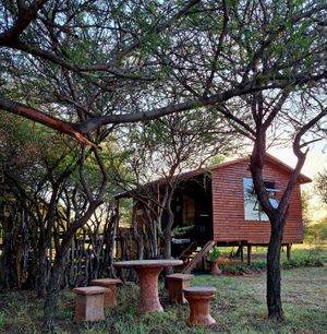 Weeping Boerbean Tented Cabin