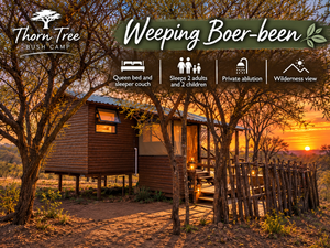 Weeping Boerbean – Family Bush Cabin | Sleeps 2 Adults + 2 Children