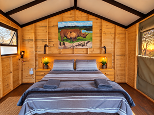 Weeping Boerbean – Family Bush Cabin | Sleeps 2 Adults + 2 Children