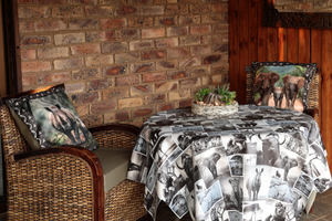 Paperbark Cottage – Private Bushveld Retreat | Sleeps 2