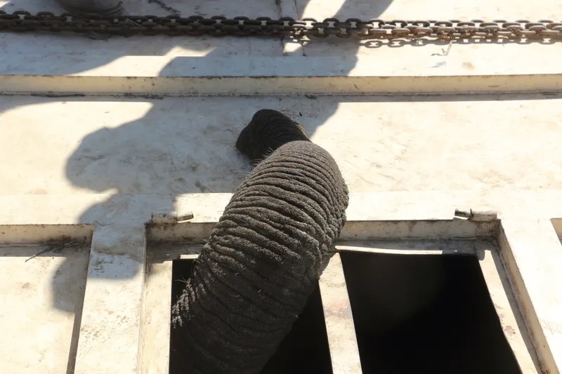Follow Dinokeng’s elephant saga as Charls and Lumpy are relocated to Zinave, while Hot Stuff stirs chaos back home.