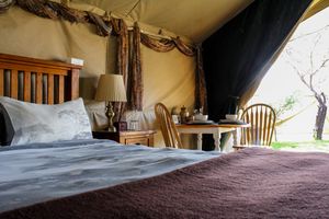 Elephant Root Luxury Tent