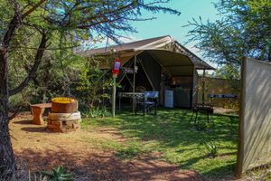 Elephant Root Luxury Tent
