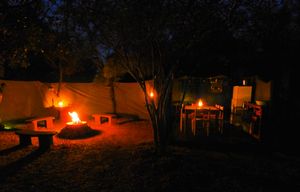 Umbrella Thorn Family Tent Camp