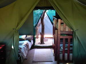Umbrella Thorn – Family Safari Tent | Sleeps 2 Adults + 3 Children