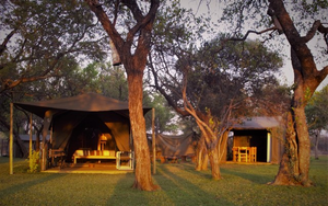 Umbrella Thorn – Family Safari Tent | Sleeps 2 Adults + 3 Children