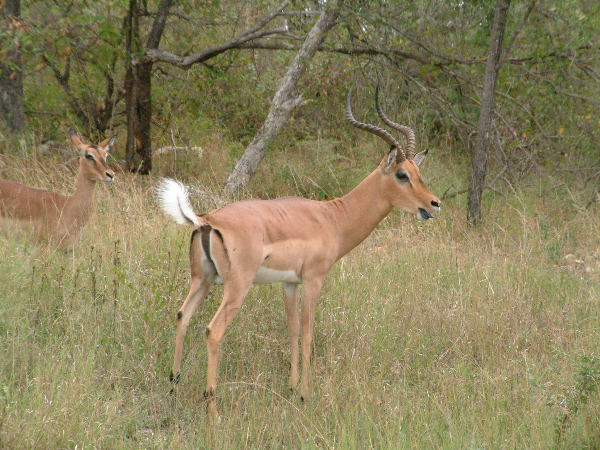 Blog post image