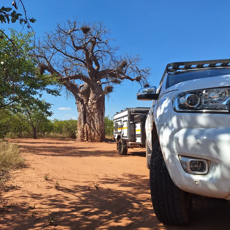 Journey from Kruger’s wild plains to Swadini’s green canyons, then misty Magoebaskloof—our scenic road trip back to Thorn Tree Bush Camp begins
