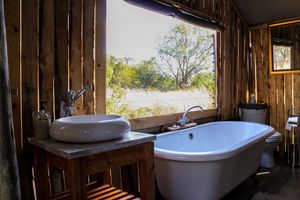 Elephant Root Luxury Tent